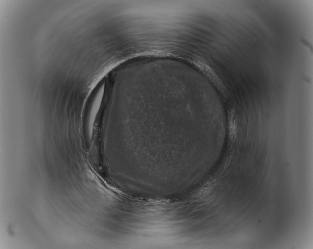 X0000099450484200805231745