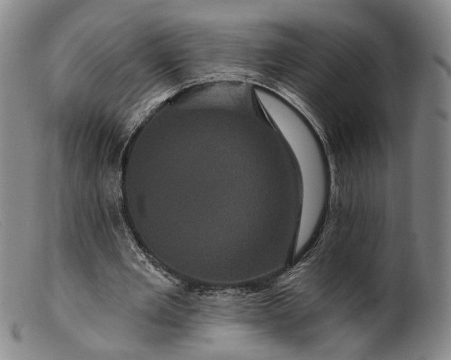 X0000099450485200805231745