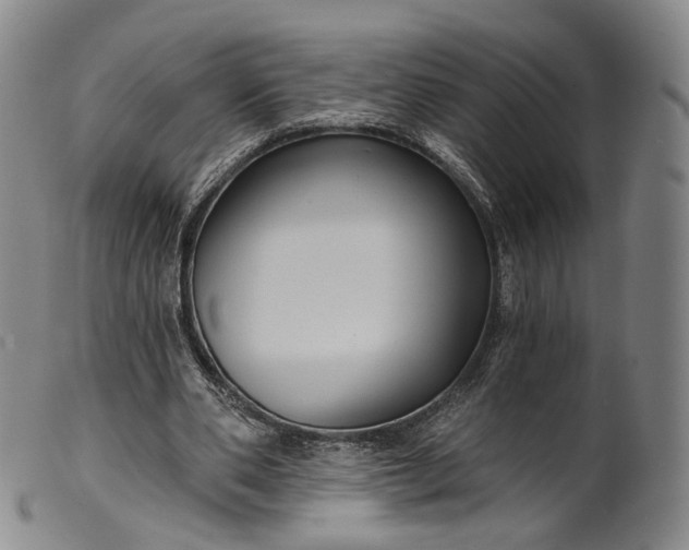 X0000099450486200805231745