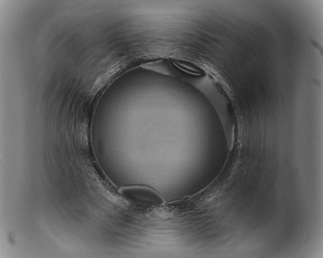 X0000099450489200805231745