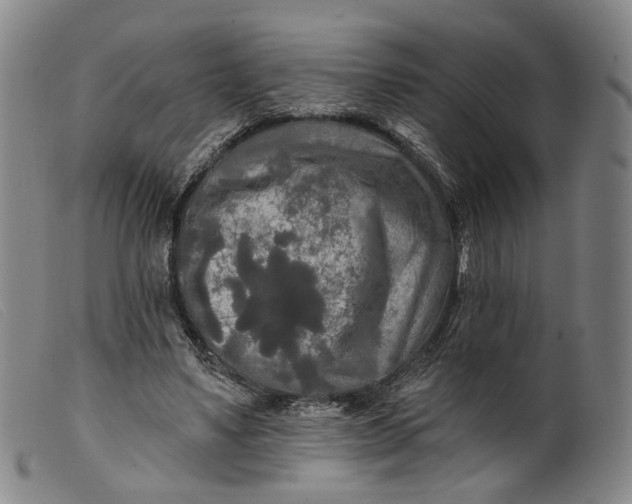 X0000099450491200805231745