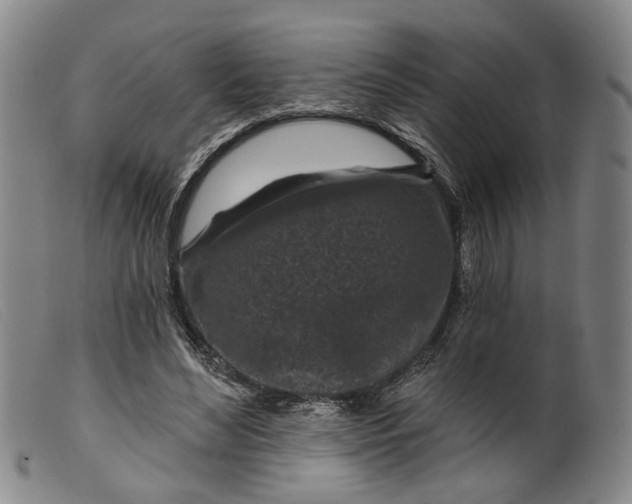 X0000099450492200805231745