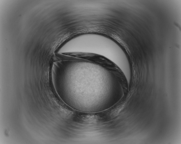 X0000099450493200805231745