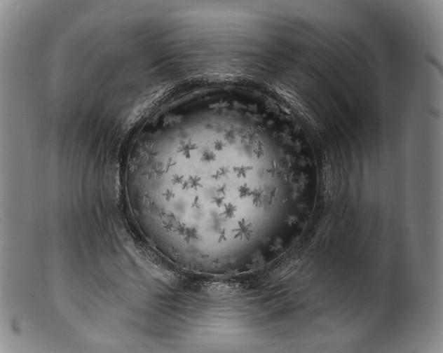 X0000099450494200805231745