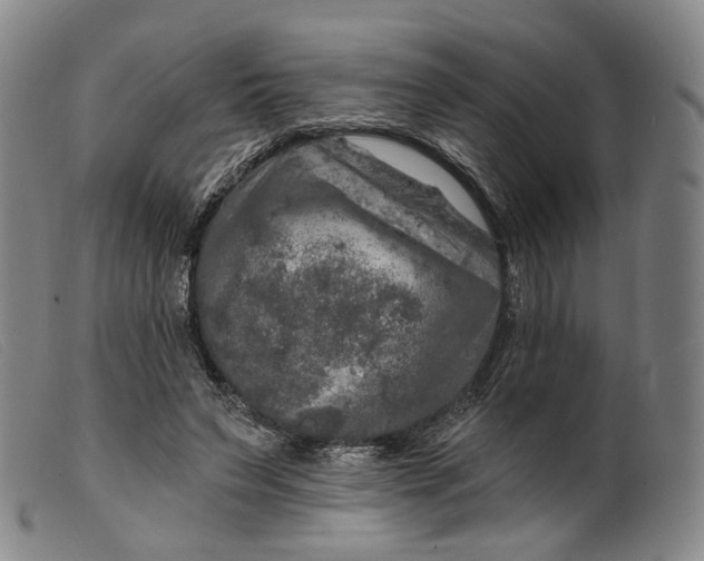 X0000099450495200805231745