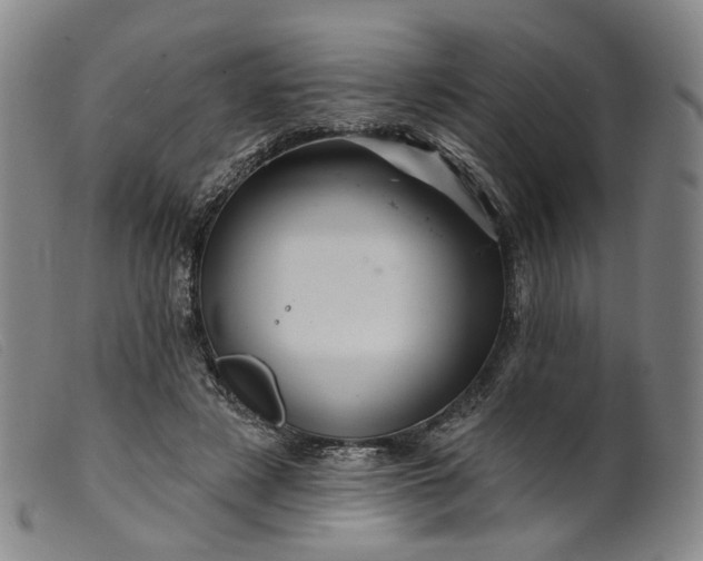 X0000099450497200805231745