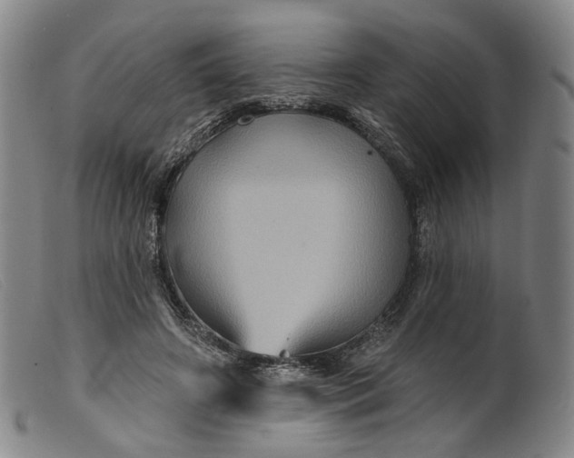 X0000099450498200805231745