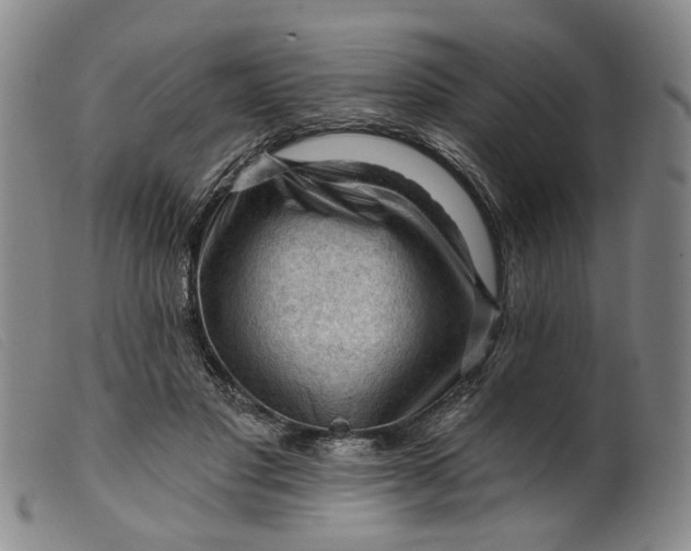 X0000099450501200805231745