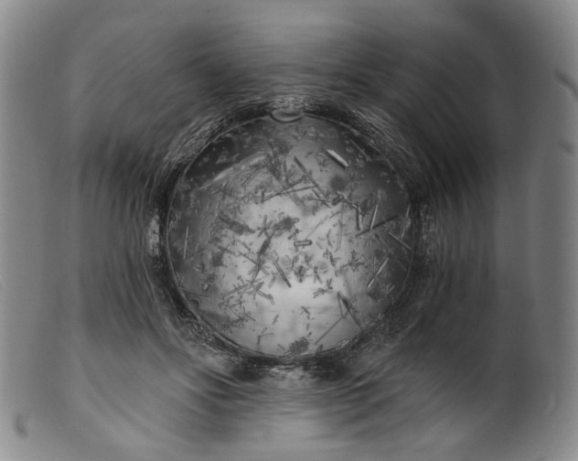 X0000099450502200805231745