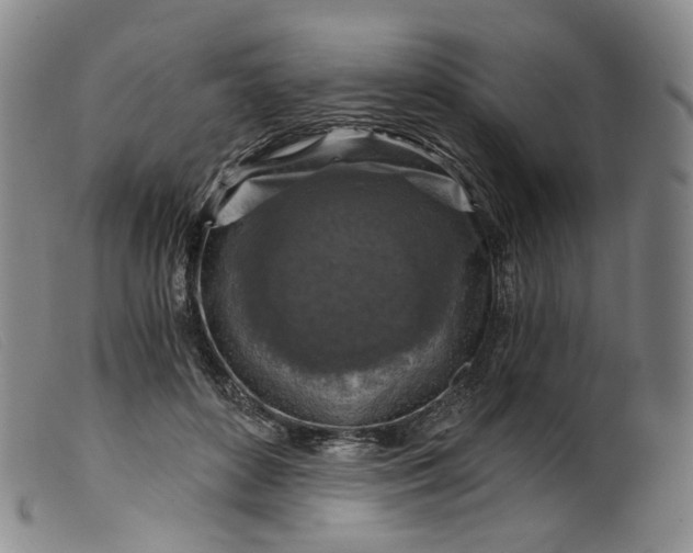 X0000099450504200805231745