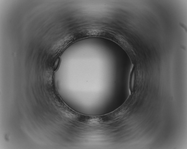 X0000099450505200805231745