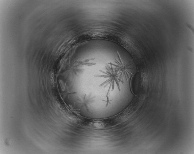 X0000099450506200805231745