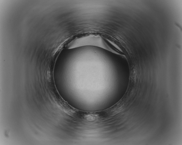 X0000099450508200805231745