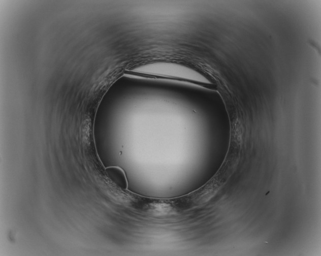 X0000099450509200805231745