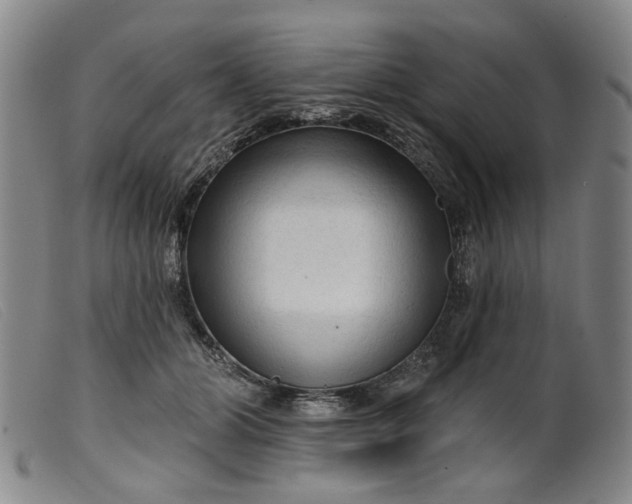 X0000099450510200805231745