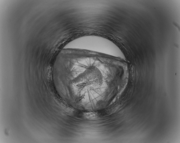 X0000099450511200805231745