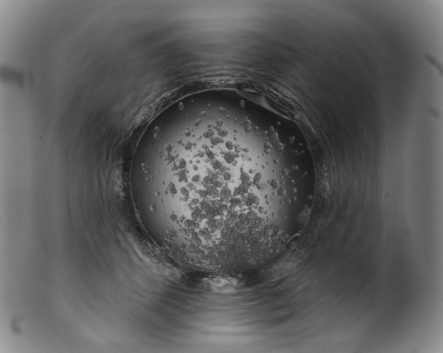 X0000099450512200805231745