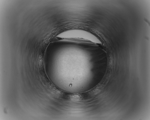 X0000099450513200805231745