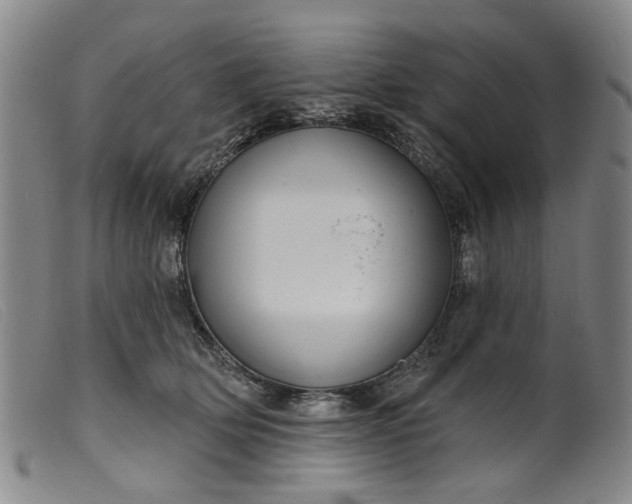 X0000099450514200805231745