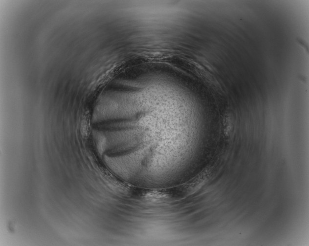 X0000099450515200805231745