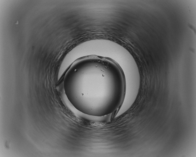 X0000099450516200805231744