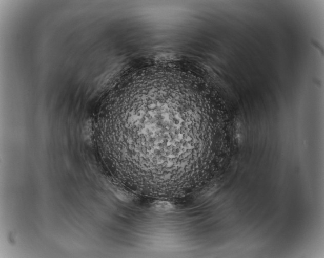 X0000099450519200805231744