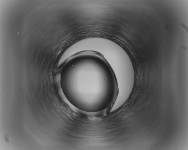 X0000099450520200805231744