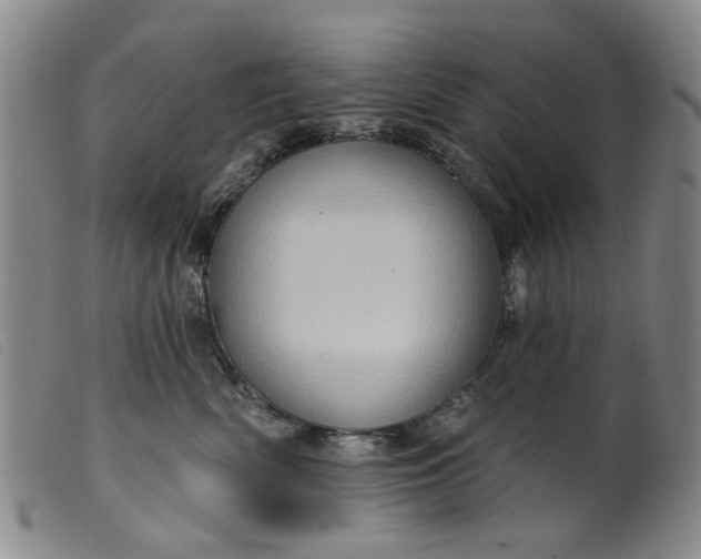 X0000099450522200805231744