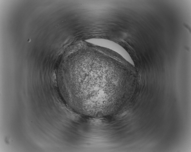 X0000099450523200805231744