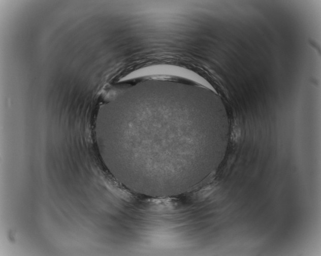 X0000099450524200805231744