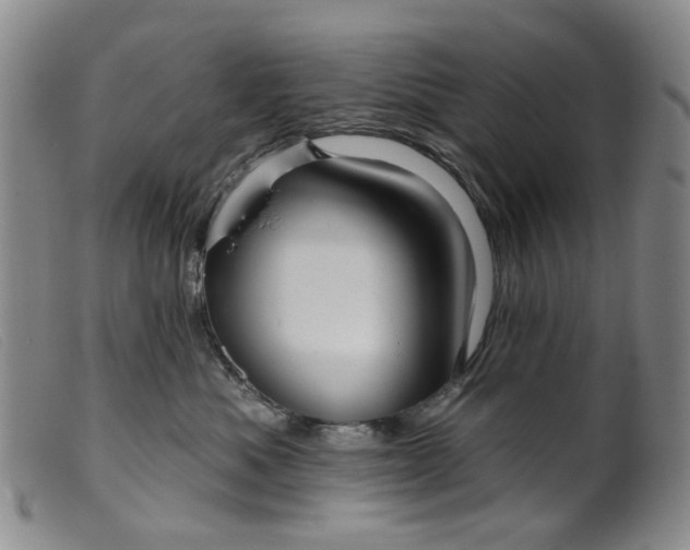 X0000099450525200805231744