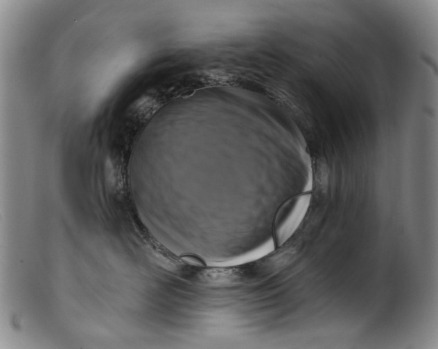 X0000099450526200805231744