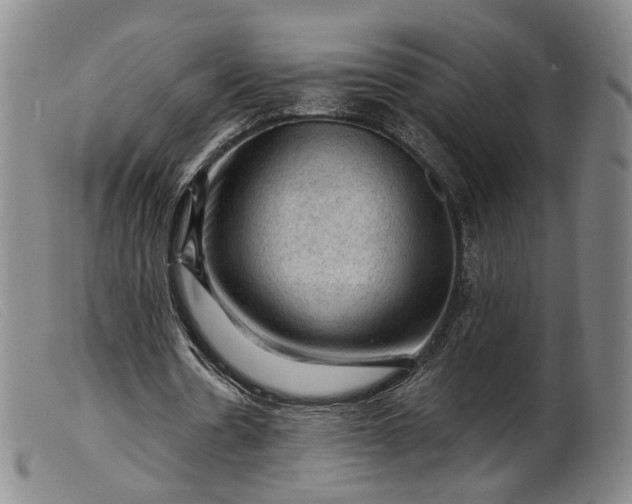 X0000099450530200805231743