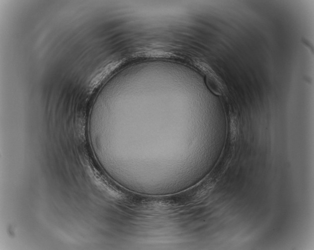 X0000099450533200805231744