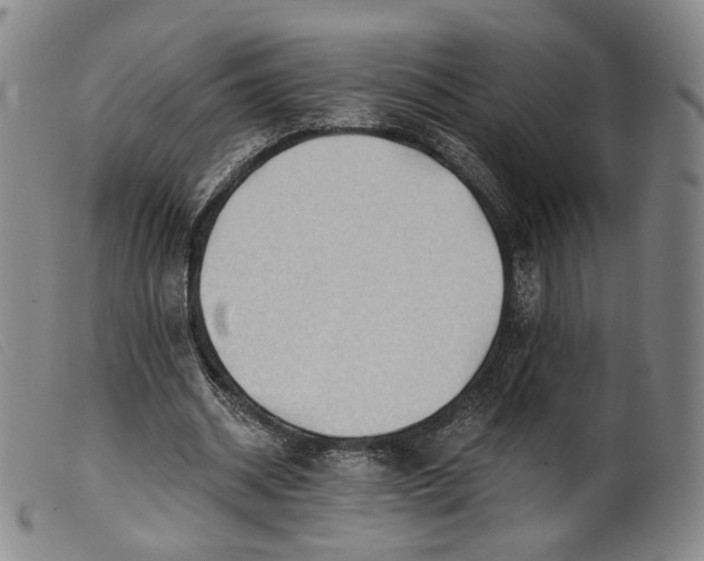 X0000099450534200805231744