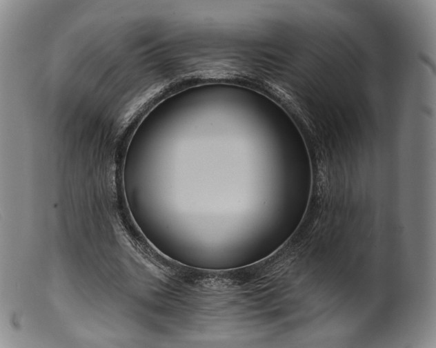 X0000099450535200805231744