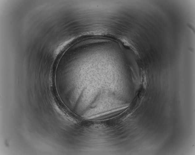 X0000099450536200805231744