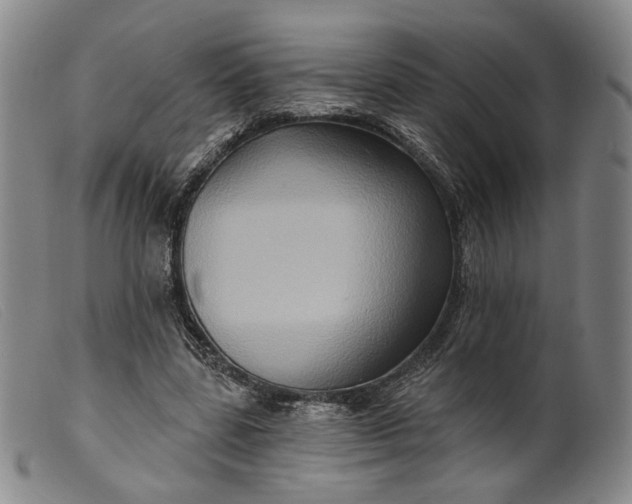 X0000099450539200805231744