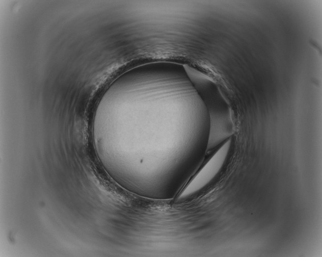 X0000099450540200805231744