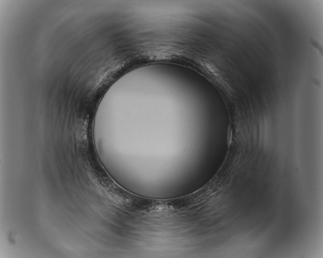 X0000099450543200805231744