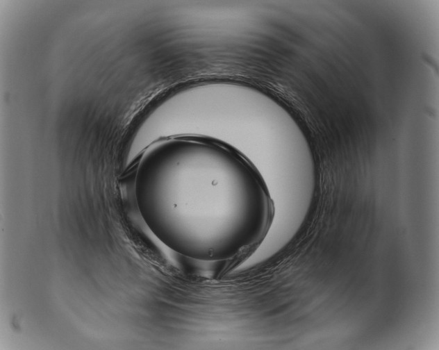 X0000099450544200805231744