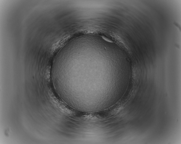 X0000099450545200805231744