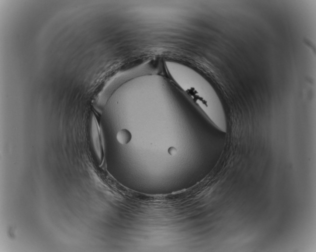 X0000099450546200805231744