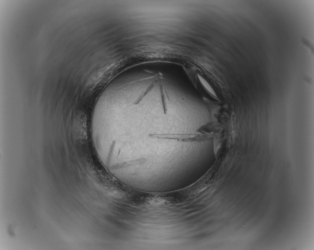 X0000099450547200805231744