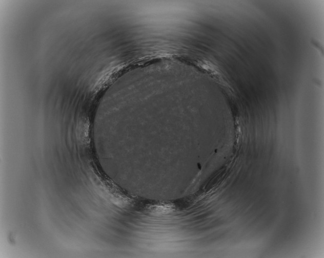 X0000099450548200805231744