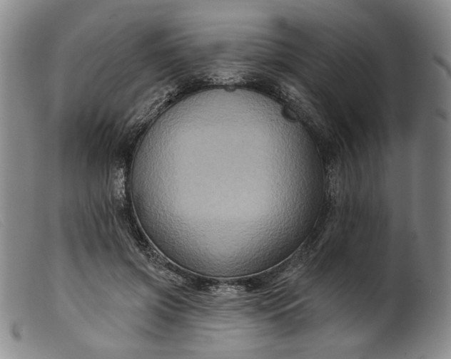 X0000099450549200805231744