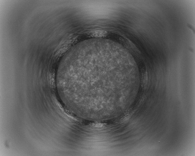 X0000099450553200805231744