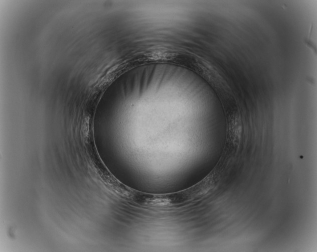 X0000099450554200805231744