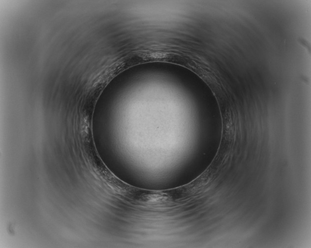 X0000099450555200805231744