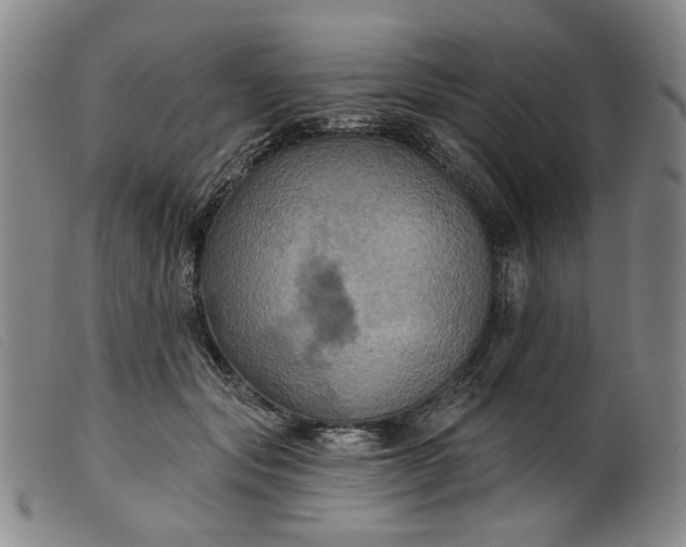 X0000099450557200805231744